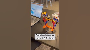 Coding Lessons with Petoi Bittle X Robot Dog | Petoi Camp Tutorial