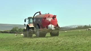 Slurry Tanking  Big MF Tractor & Red Rock Tanker +++19 05 24