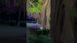 #153 🌳 🍃🍂🍁🤩#travel #bike#rider#nature #india #shorts #vlog #viralvideo #view#travelblog
