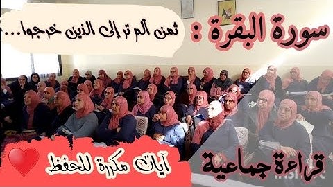 آيات مكررة للحفظ ❤️ ثمن ألم تر إلى الذين خرجوا... من الآية 241 إلى الآية 245 سورة البقرة الحزب 4
