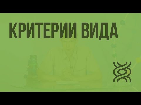 Критерии вида видеоурок