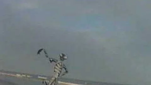 Praying Mantis Kite - Tim Elverston and Ruth Whiting