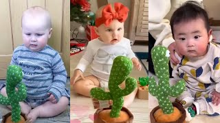 Babies play dancing cactus toy || cutest baby funniest moments.