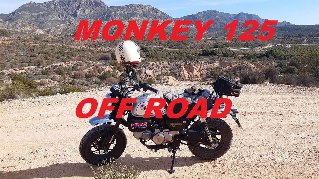 Honda Monkey 125 - Offroad - Ruta de montaña