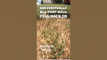 You cut it to LOW, that’s a good thing with patience // Bermuda Grass GREEN HIT scalping