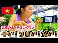 【ベトナム旅行】ホーチミンに来たらまずこれを食らうべし!絶対外せない究極のベトナムグルメ!バインセオ🇻🇳