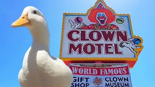 I took my duck to the Clown Motel