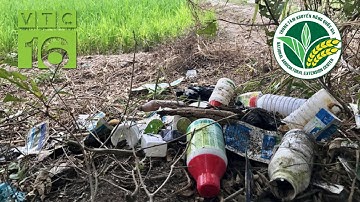 Hiểm họa do lạm dụng thuốc bảo vệ thực vật | VTC16