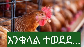 እንቁላል ተውደደ ምን ይሻላል?
