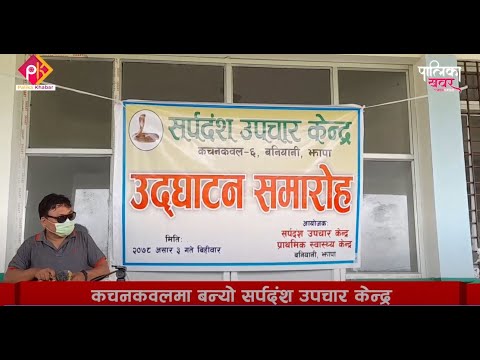कचनकवलमा सर्पदंश उपचार केन्द्र सञ्चालन (भिडियो खबर)