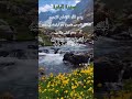 Muslim YouTube Channel