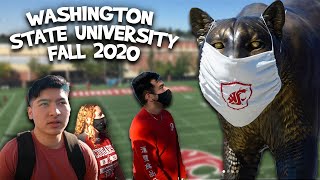 What's it Like Inside Washington State University | Pullman, WA Campus