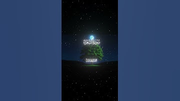 سورة الشعراء|45-51|القارئ:#محمد_اللحيدان #قران #quran #راحة_نفسية #قران_كريم#تلاوة_هادئة#تلاوة_خاشعة
