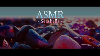 🔷 ASMR Ambience | Seashells (1 Hour)