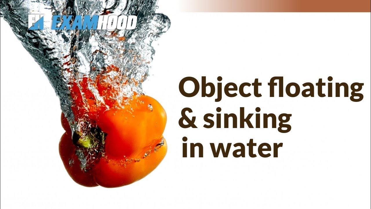 Object floating and sinking in water YouTube