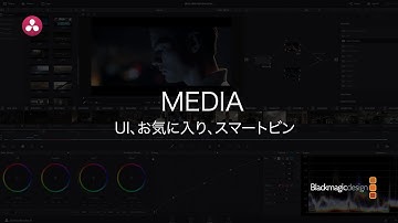 【DaVinci Resolve 12.5】1.1 メディア｜UI、お気に入り、スマートビン