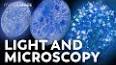 The Mysterious World of Microscopic Life ile ilgili video