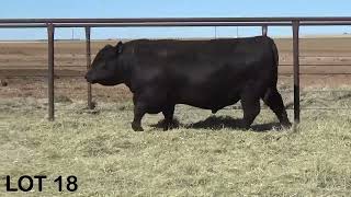 LOT 18