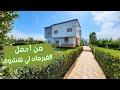 أجمل فيرما فيوتوب غادي تشوف أشجار و فيلا على الطريق 5دقايق على وسط لمدينه أجمل فيرما فيوتوب غادي تشوف أشجار و فيلا على الطريق 5دقايق على وسط لمدينه