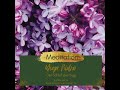 Yoga Nidra - Entspannungsmethode "Der Schlaf des Yogi"