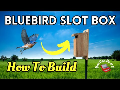 How To Build A Slot Bluebird Nesting Box