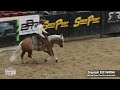 SJR STYLISH N SMOOTH shown by MATT KOCH - 2023 NRCHA Stallion Stakes (Rein, Open Derby)