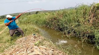 Small Single Hook Fishingtwo Type Fishcatfishes Singh Fishcatching By Fishermanunique Fishing