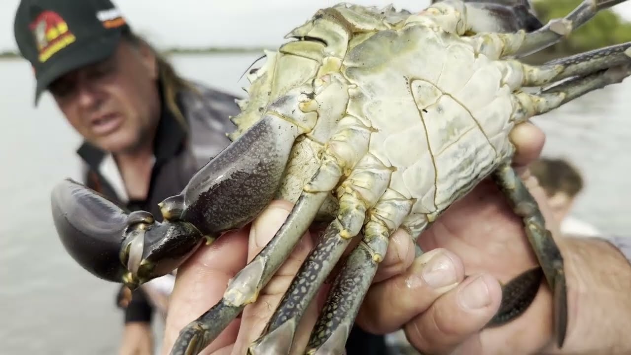 Грязевые заливы Мортон