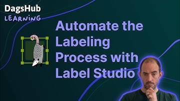 Automate the Labeling Process with Label Studio and DagsHub