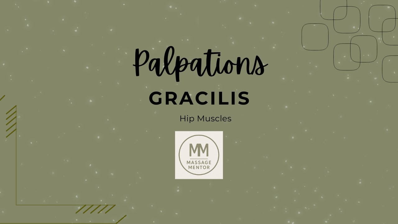 Gracilis Palpation
