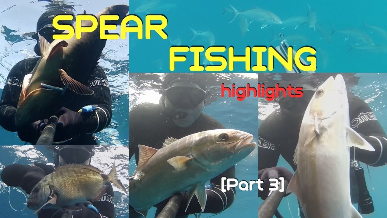 1st Half of 2025's🔱 Spearfishing 🤿 Highlights 🐟 (Part 3) Τα καλύτερα του 1ου εξαμήνου 2025 [Μέρος 3]