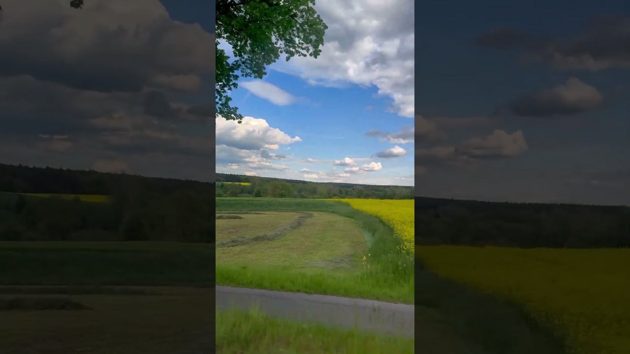 #germany #europetravel #travelvlog #shorts #nature #shorts #trend