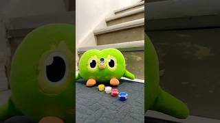 Viral Duo Owl Funny Chaos IRL 😂 The Moment Duo Lost Control