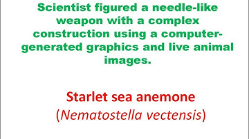 The fastest micro-machine in nature "jellyfish