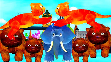 Reverse+Animals in the clock+Random color effects||Animals in the clock