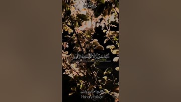 لمثل هذا فليعمل العاملون...  يارب رحمتك ولطفك..  #مشاري_ياسين #ياسر_الدوسري #ماهر_المعيقلي #تلاوات