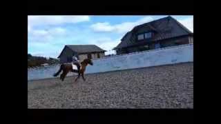 Louise & Gucci Flatwork lesson April 2013