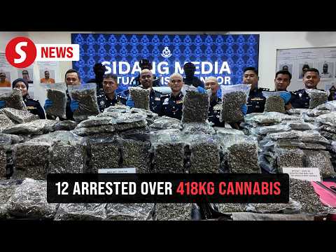 Selangor police seize 418kg of cannabis, arrest 12 at KLIA