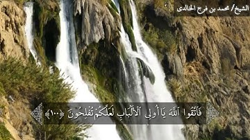 سورة المائدة من الاية 96 الى الاية 105