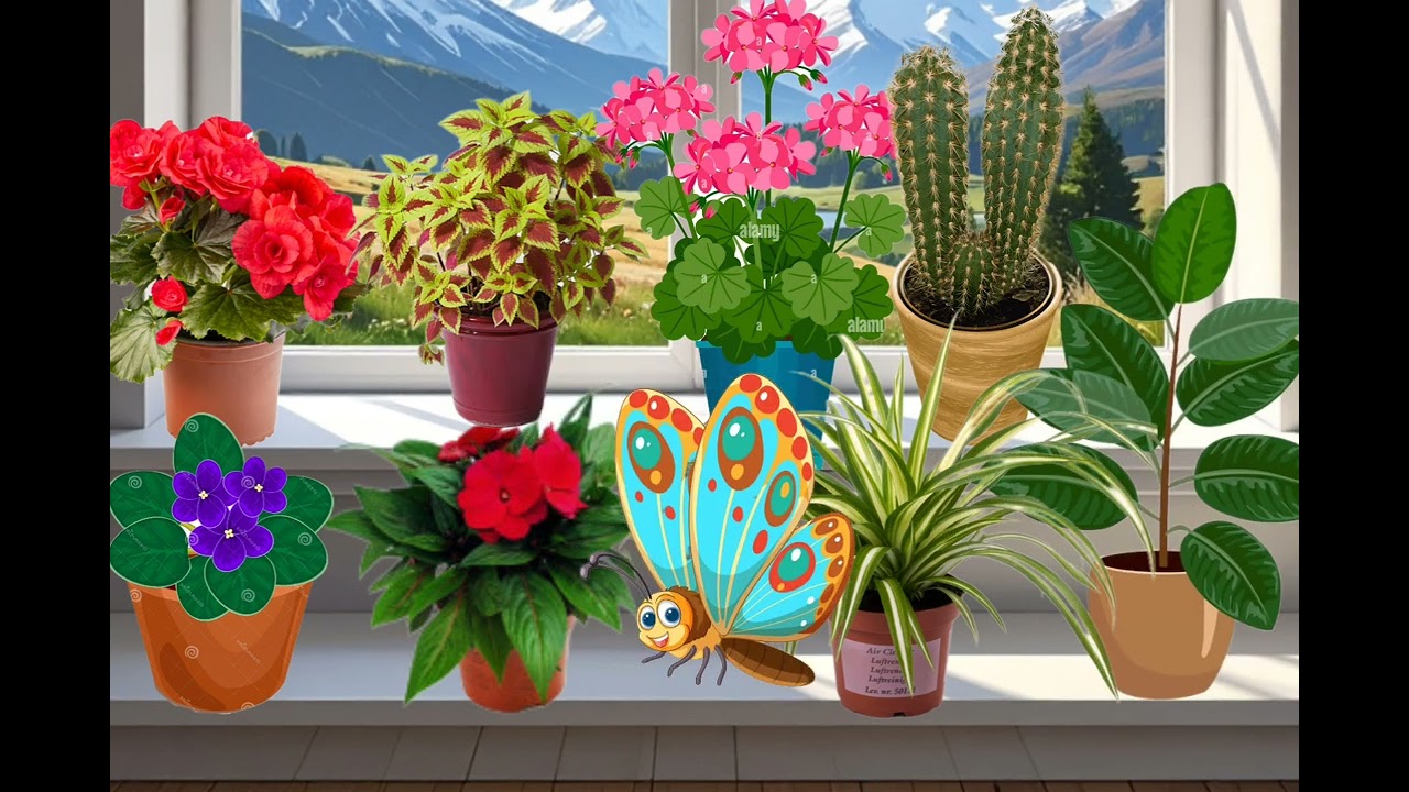 Дидактична гра 