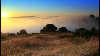 Sunset.mp4 at 480p (Found in \system\media\video) #incomingcalls1234 