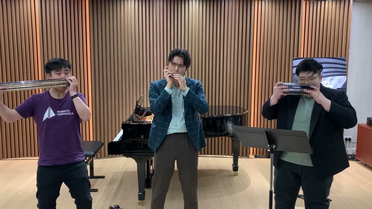 Paraphrase in B-Flat Minor by Rácz Laci (RedBricks Trio)