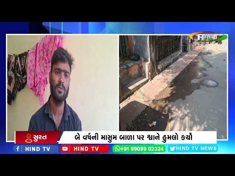 સુરતમાં રખતડા શ્વાનોનો આતંક યથાવત