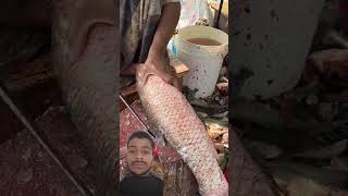 Amazing Big Ruhi Fish Super First Cutting #fish #fishcutting#fishcutting_skills #youtubeshorts#fish