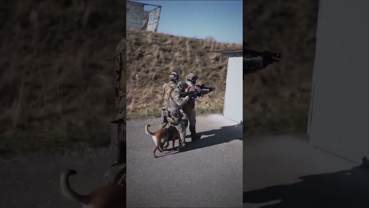 the work of the state security service of ukraine and the national police