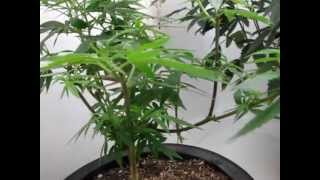 Day 56 Update