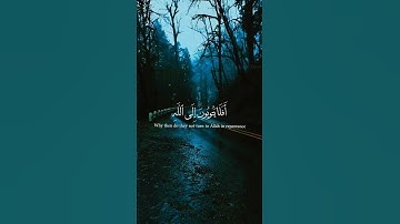 Surah Al-Ma'idah 5:74 #surahalmaidah#surahmaida#abdulrahmanmusaad#عبدالرحمن_مسع#تلاوات#سورة_المائدة