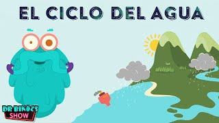 ¿Qué es el ciclo del agua? El ciclo del agua para niños | 2021 dibujos animados de ciencia