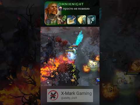 Support Omni? Support?