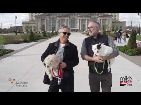 A Tailgate Walk and Talk with Matt Pepper from Michigan Humane - Mike Morse Law Firm - 855-MIKE-WINS